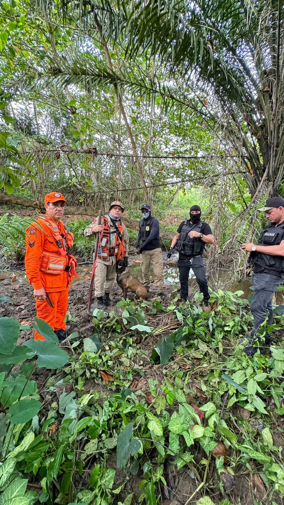 Polícia encontra corpo em cova rasa em Bayeux com ajuda de cão farejador — Foto: Polícia Civil/divulgação
