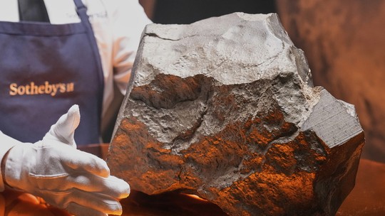 Rocha marciana vai a leilão nos EUA e pode custar até US$ 4 milhões - Maior pedaço de Marte já achado na Terra estava no deserto do Saara; esqueleto de um dinossauro com mais de 2 metros de altura também está à venda.