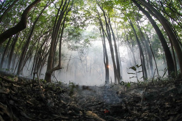 Incêndio atinge área de floresta em Iranduba, no Amazonas — Foto: Mauro Neto/Secom