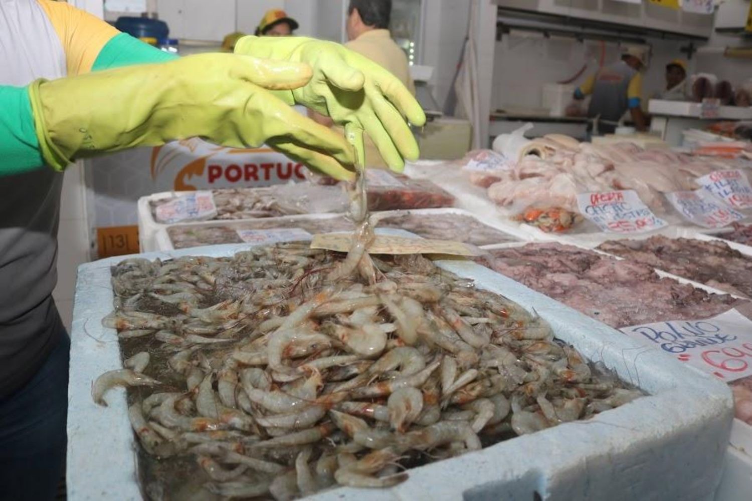 Mercado de Peixes de Santos, SP, realiza Festival do Camarão Cinza com mais de 20% de desconto