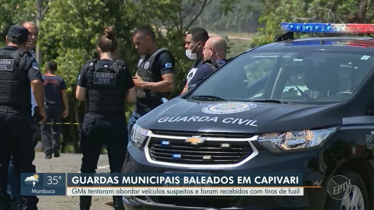 Polícia Civil investiga corridas clandestinas de charretes em  Cordeirópolis; vídeo flagra momento de queda de cavalo, Piracicaba e  Região