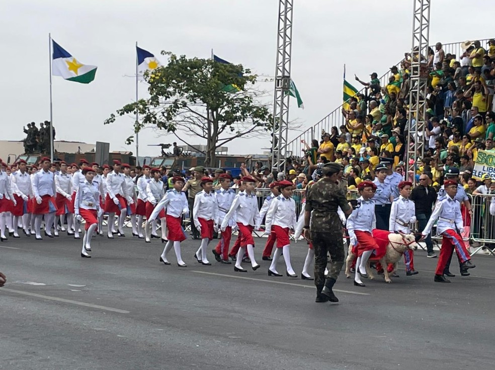Exército Brasileiro - Brasil! Desfile de 7 de setembro na Esplanada dos  Ministérios, Brasília/DF. Foto: Cabo Estevam