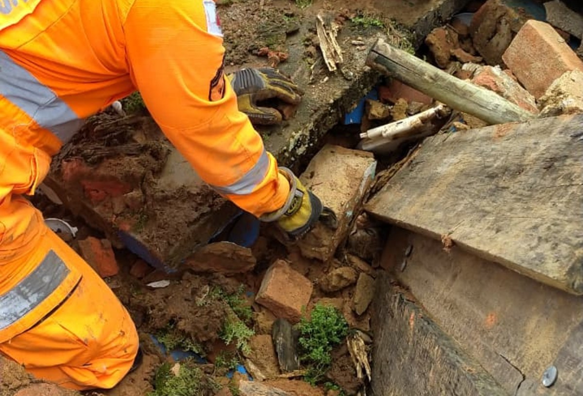 Gato é socorrido nos escombros onde família morreu soterrada após deslizamento em MG; VÍDEO