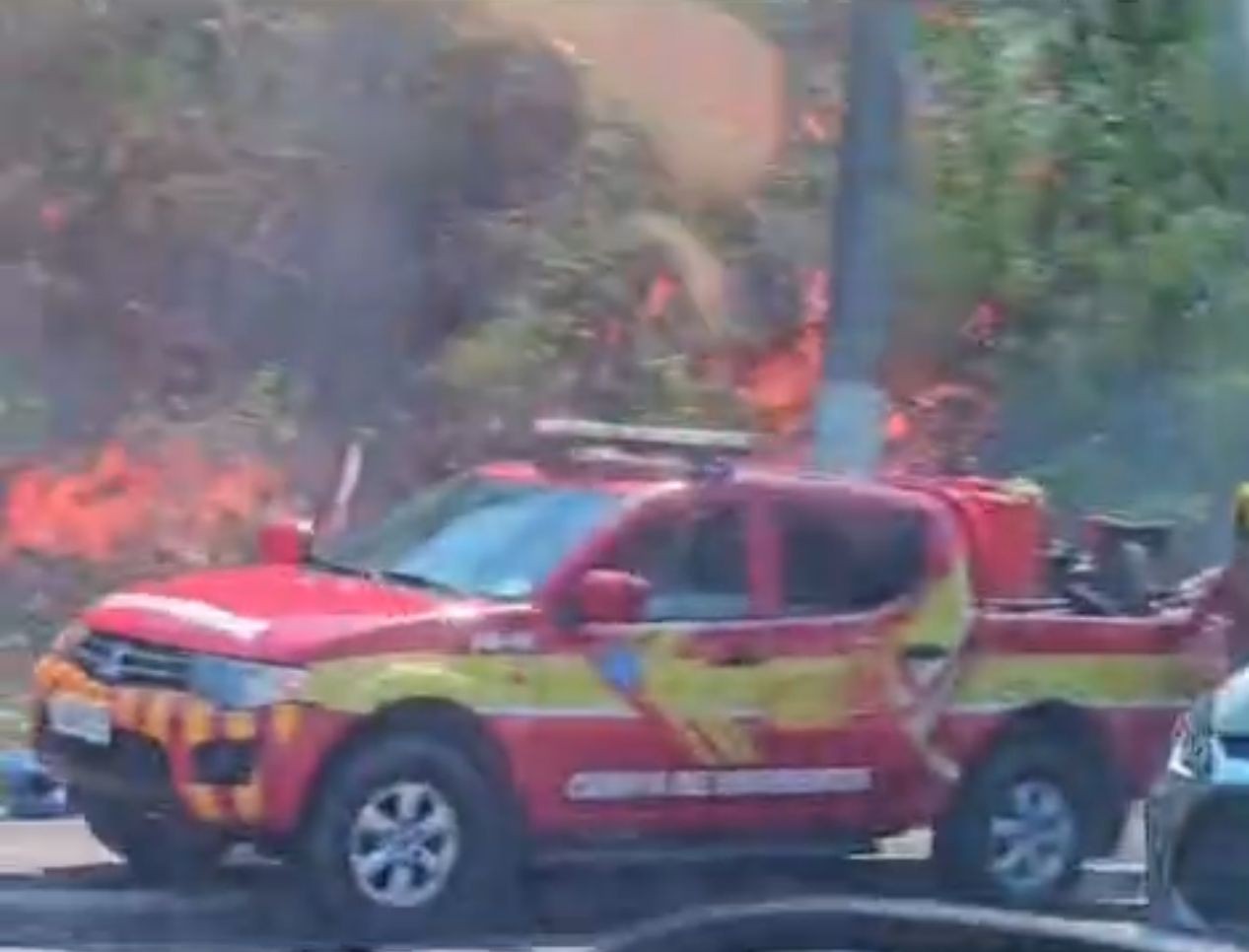 Incêndio atinge Inpa no início da tarde desta quarta-feira (4)