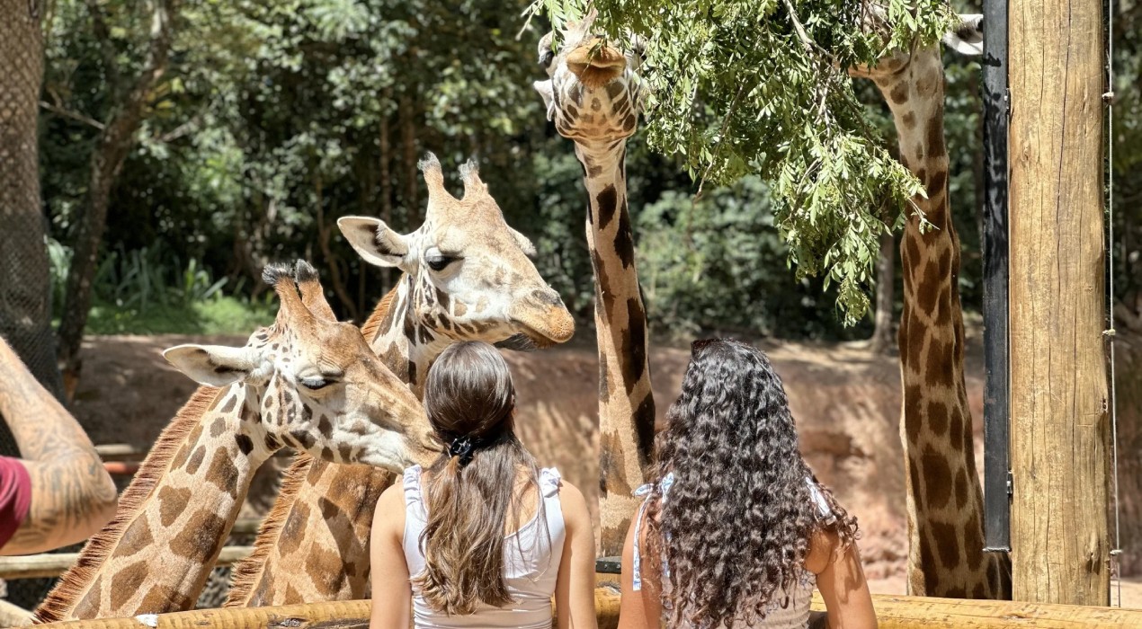 Zooparque Itatiba abre programação especial de férias com gincanas e bastidores de museu