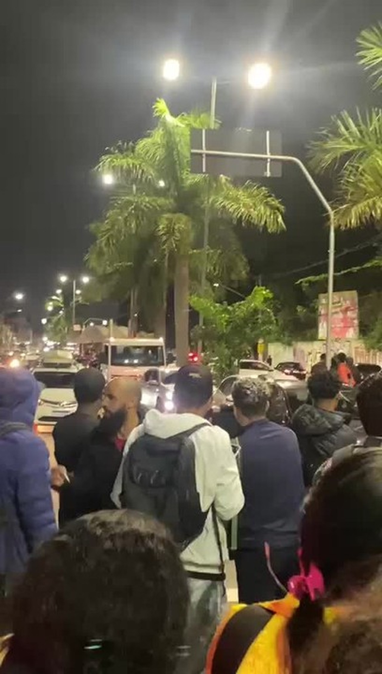 Circulação na Linha 8-Diamante da ViaMobilidae fica parcialmente interrompida após queda de árvore