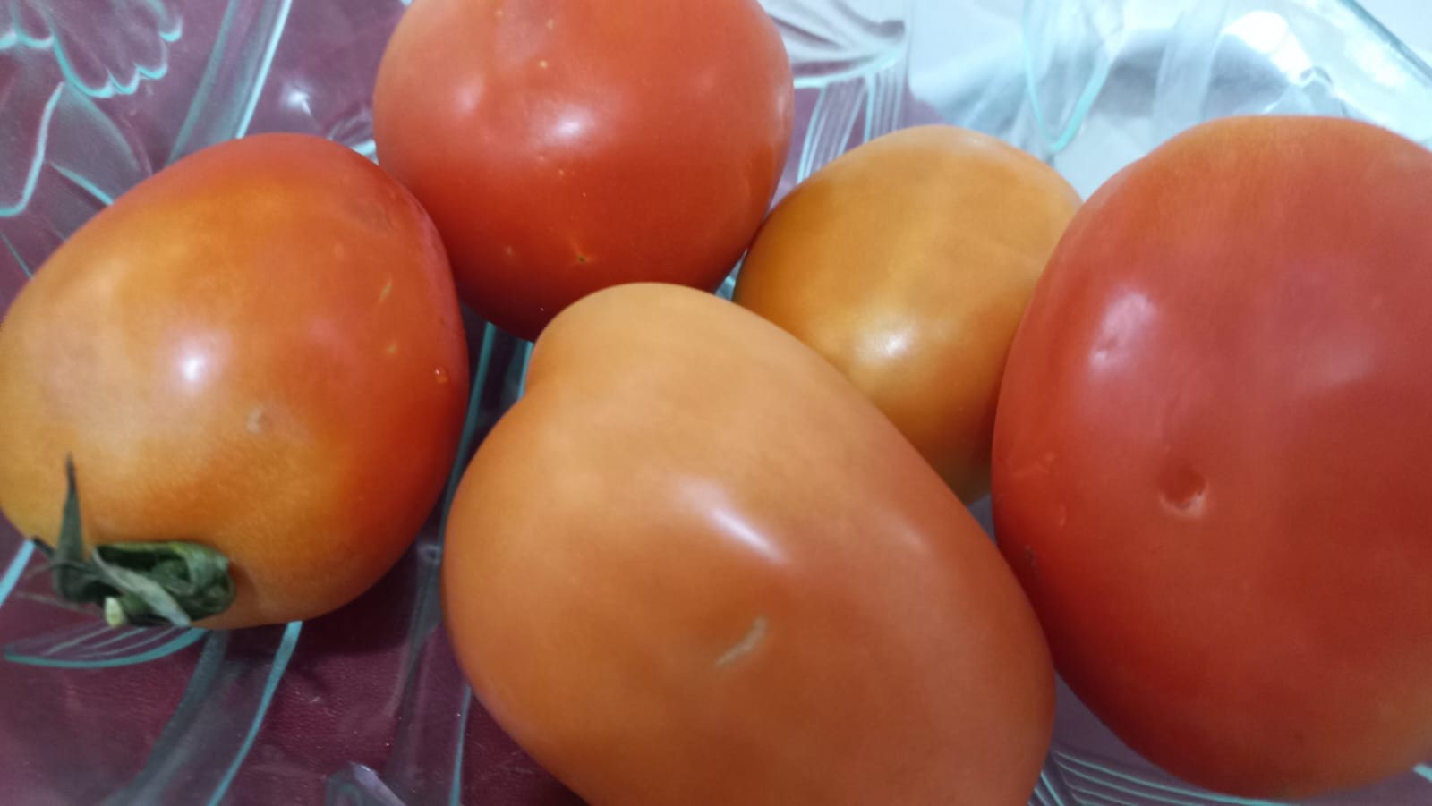 Tomate 'salgado': preços mais que dobram com fim da safra de inverno e desaceleração da colheita, aponta estudo da USP 
