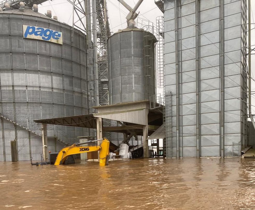 Destruição de lavouras de soja no RS pode encarecer frango e porco, além do  óleo, dizem analistas | Agronegócios | G1