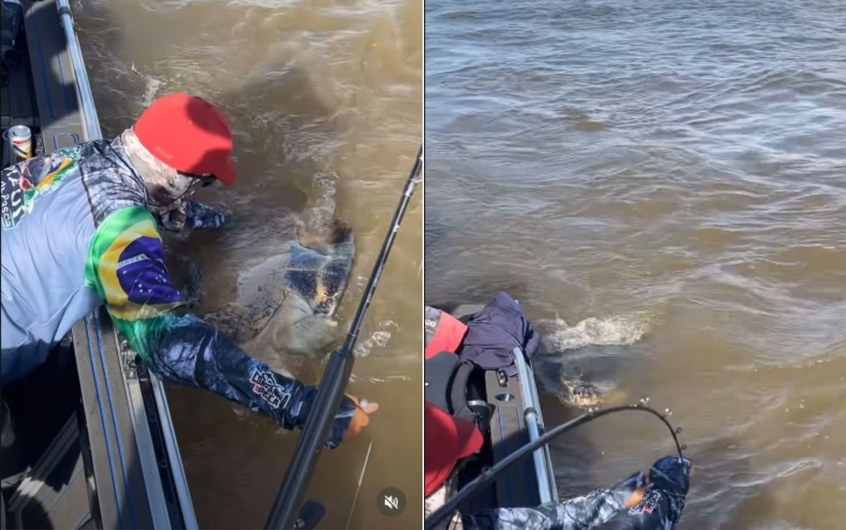 Pescador fisga tartaruga gigante no Rio Araguaia; vídeo