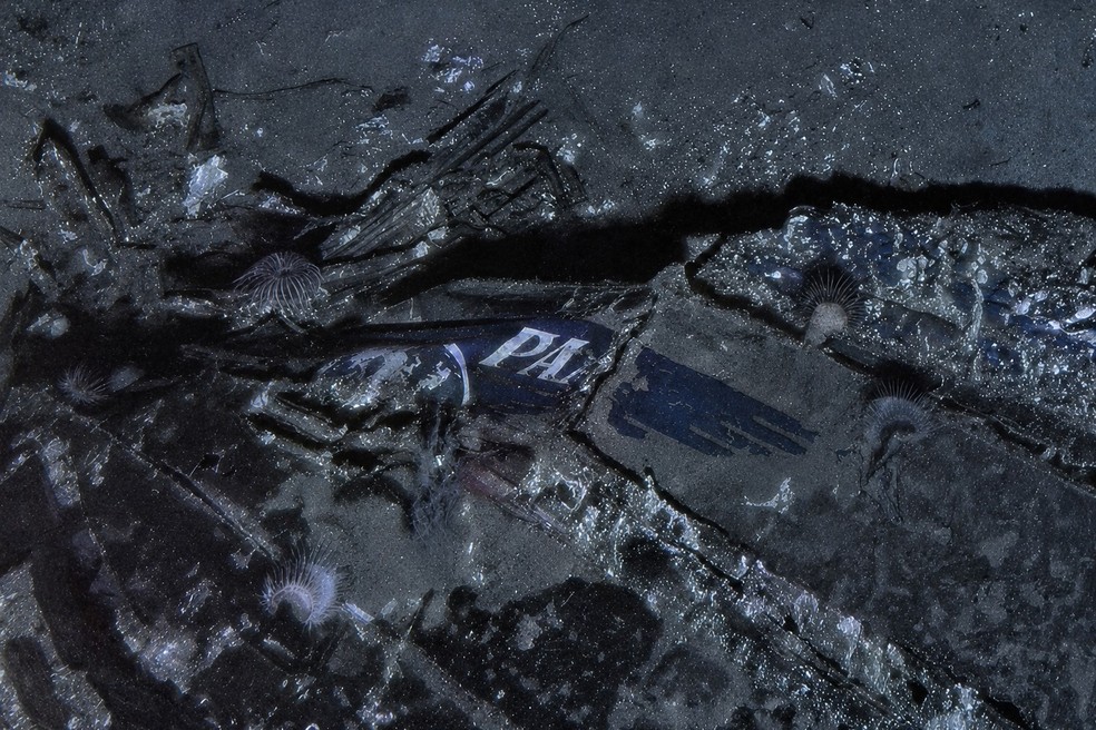 Imagem mostra o logotipo da Pan Am entre os destroços do Clipper Endeavou — Foto: Air/Sea Heritage Foundation e Deep Sea Vision via AP