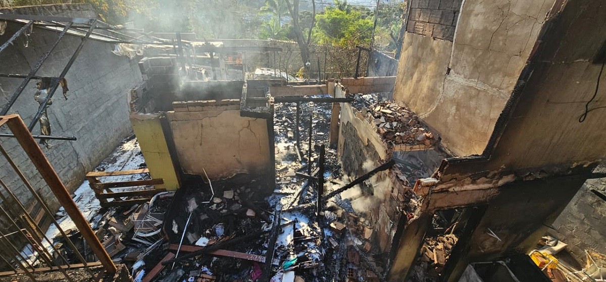 Três cachorros são resgatados de incêndio que destruiu casa de madeira em Juiz de Fora 