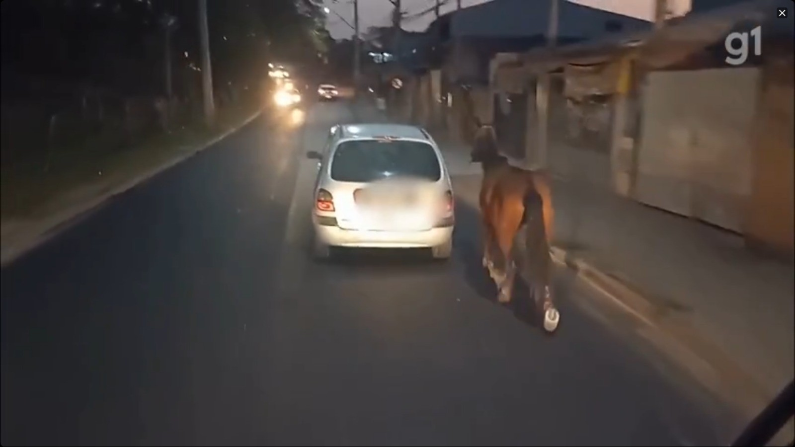 VÍDEO: Motorista é flagrado puxando cavalo com corda atrás de carro em movimento, em São José