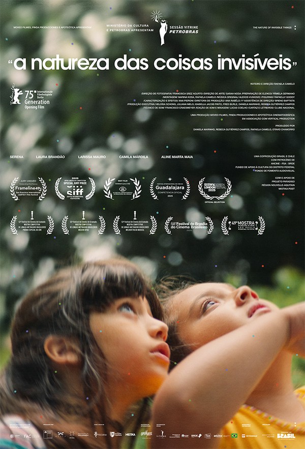 Cartaz do filme 'A Natureza das Coisas Invisíveis'. — Foto: Reprodução