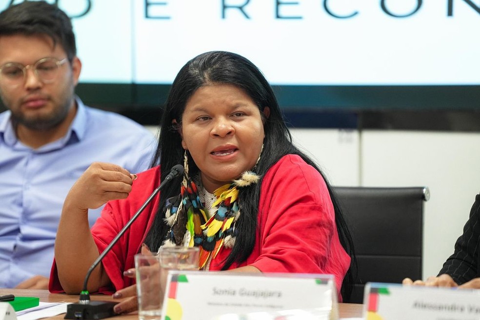 Ministra dos Povos Indígenas, Sônia Guajajara. — Foto: Ascom/MPI