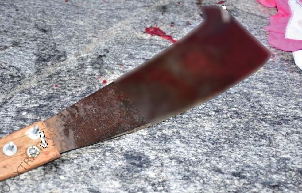 Homem é condenado a 21 anos de prisão por matar a irmã a facadas, em Tarabai (SP) — Foto: Ministério Público
