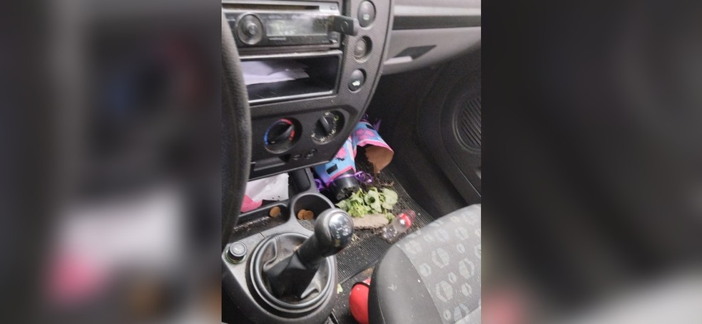 Um dos vasos de flores que caiu do banco quando Emanoel, de Araçatuba (SP), bateu o carro — Foto: Arquivo pessoal