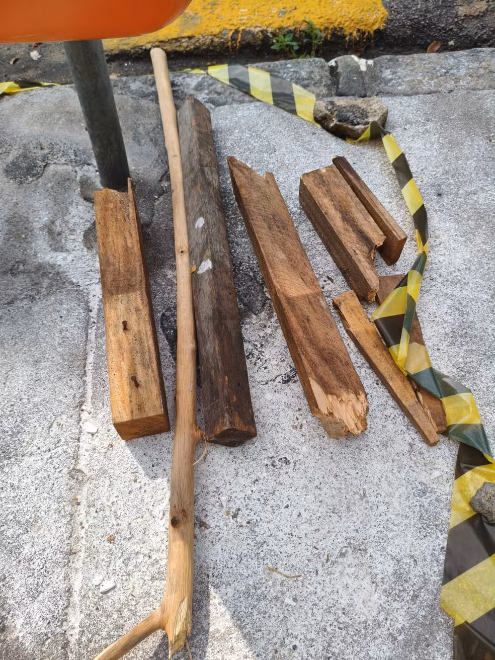 Objetos que teriam sido usados para atacar o animal — Foto: Divulgação