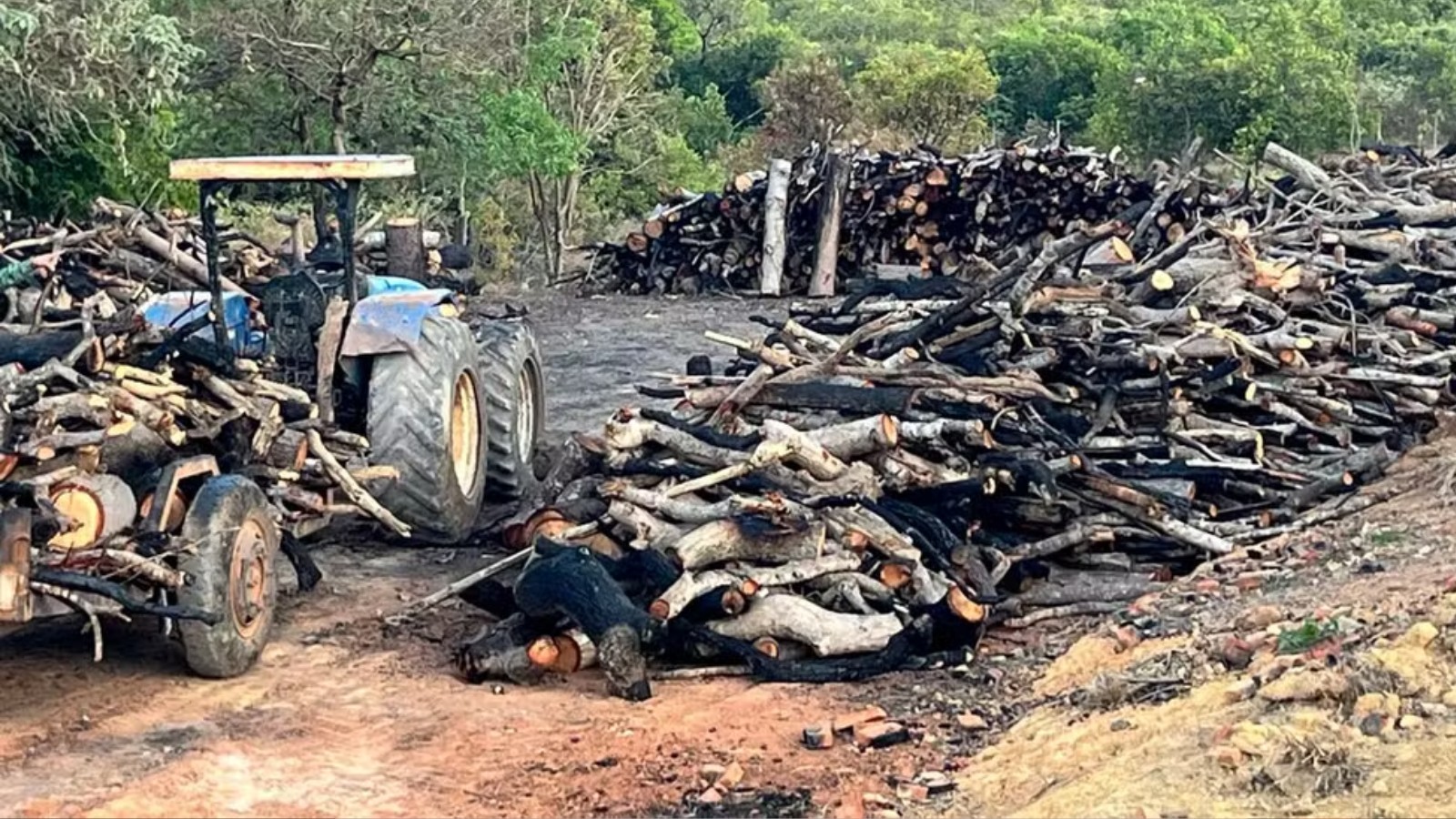 Piauí registra 22 pessoas sob proteção por ameaças ligadas a conflitos de terra e crimes ambientais