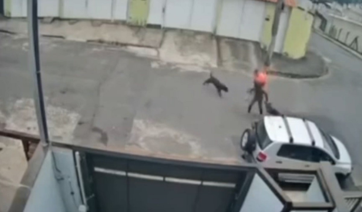 VÍDEO: Trabalhador salva cachorro e tutora de ataque de pitbull em Juiz de Fora
