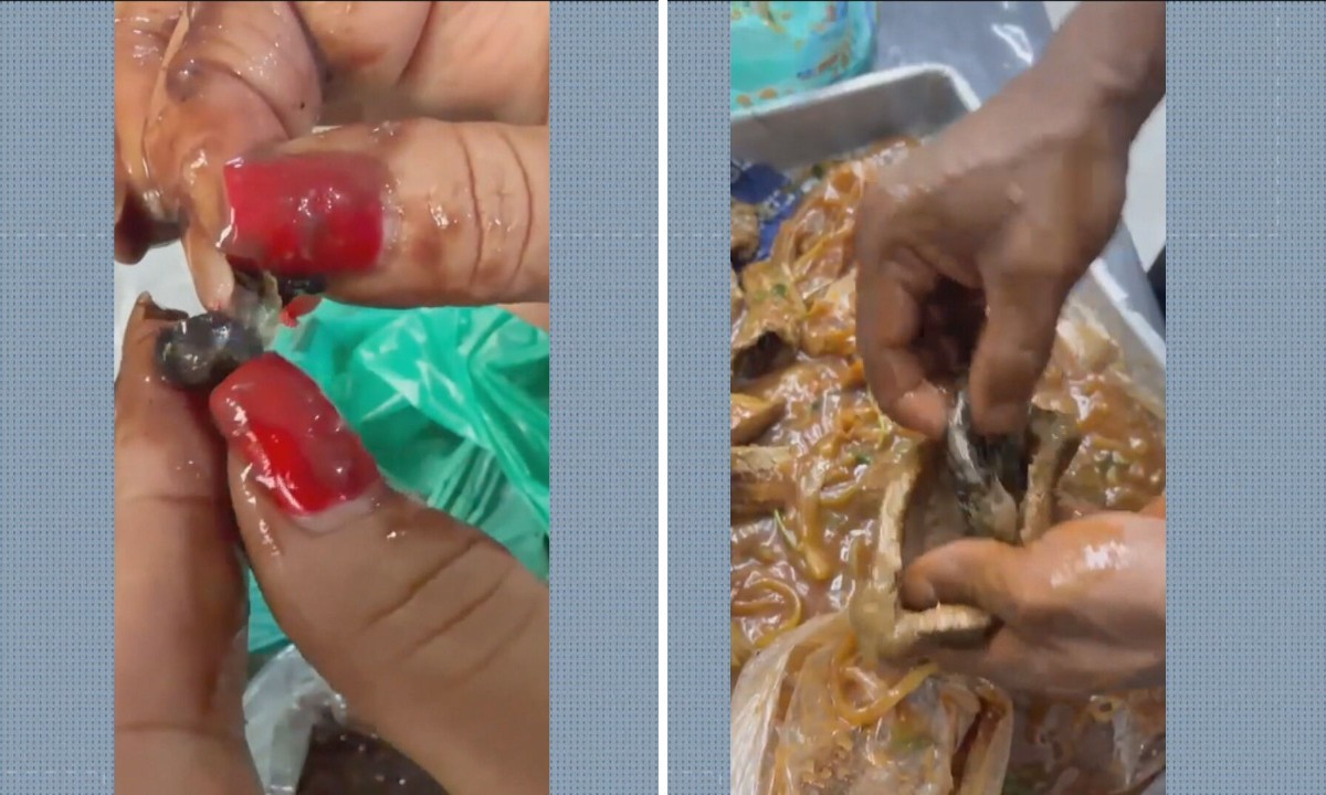 Polícia Penal encontra maconha e haxixe escondidos em feijão e carne durante revista em presídio em Bangu