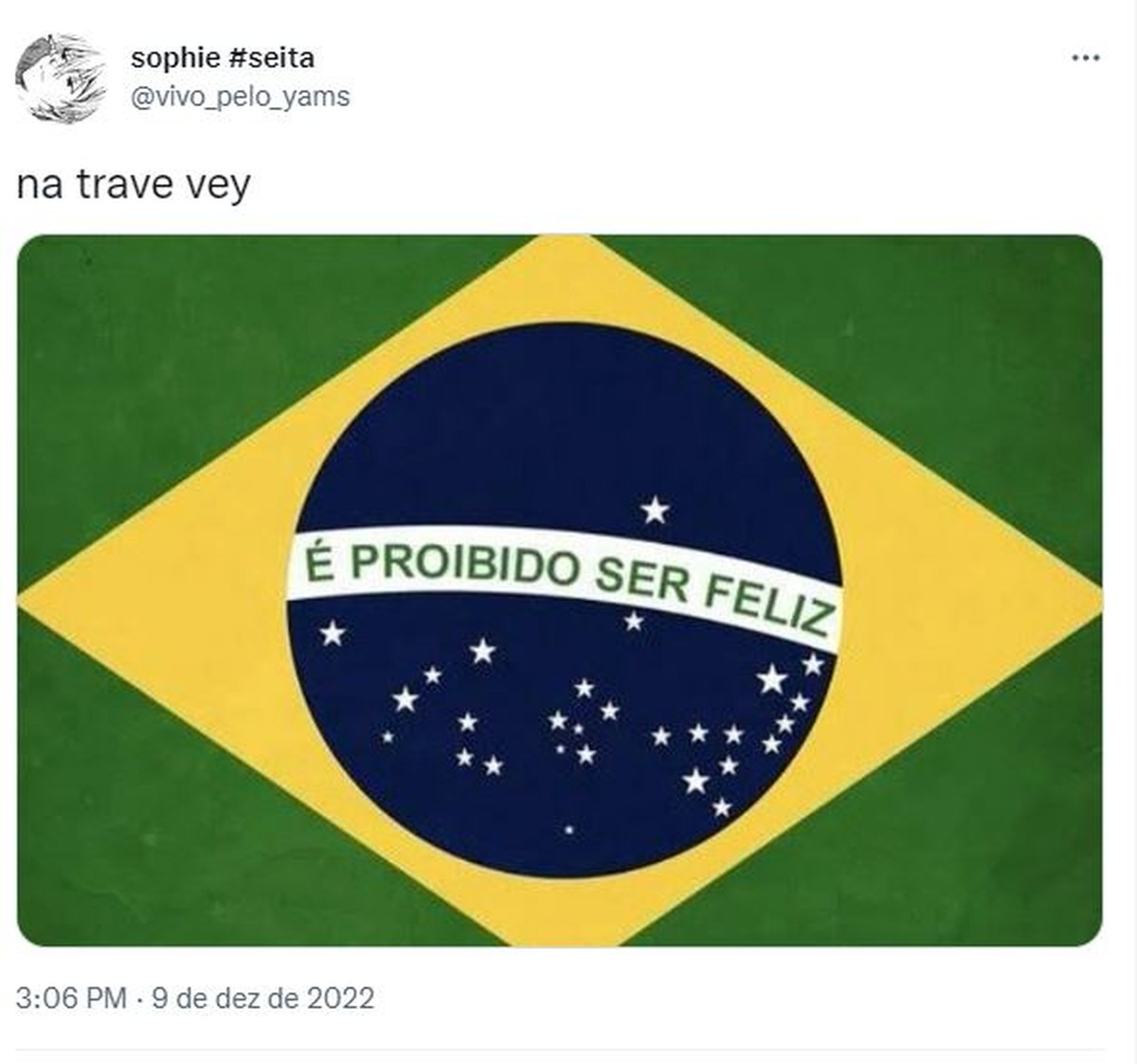 A expectativa do brasileiro para 2023 em memes - Ultima Pauta