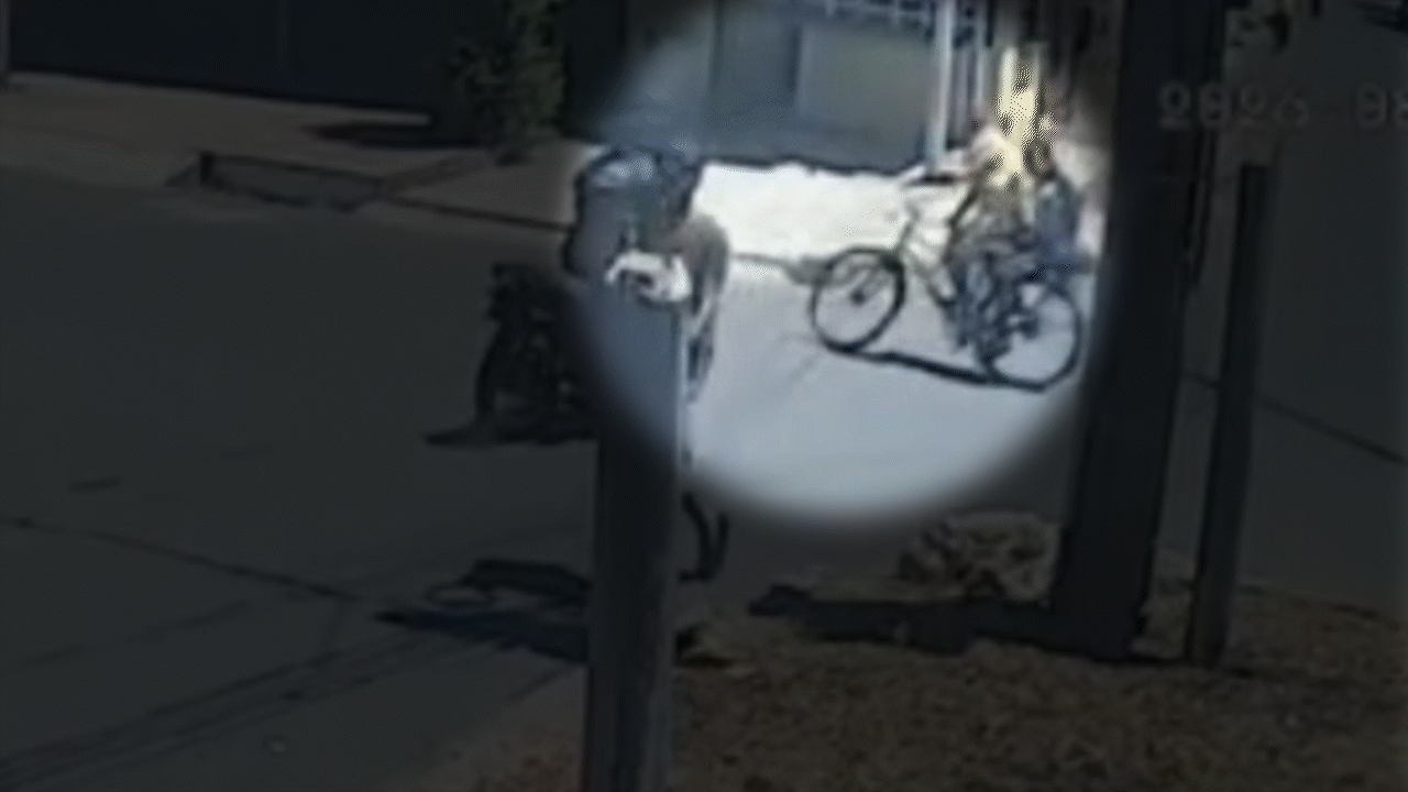 VÍDEO: Criança é arremessada de bicicleta após colisão com moto no PI; suspeito quase foi linchado, diz PM
