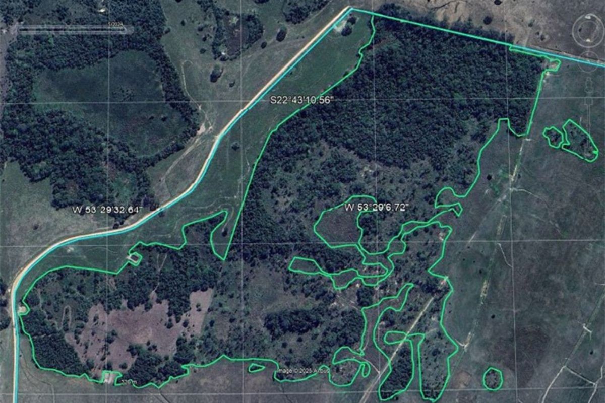 Fazenda em MS é investigada por desmatar mais de 15 hectares de vegetação nativa da Mata Atlântica
