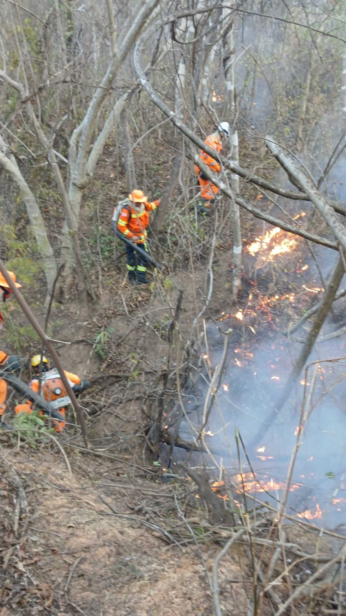 Incêndio em área de vegetação mobiliza bombeiros em Montes Claros