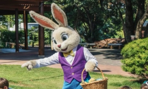 Mensagem para Páscoa: compartilhe antes da viagem em família