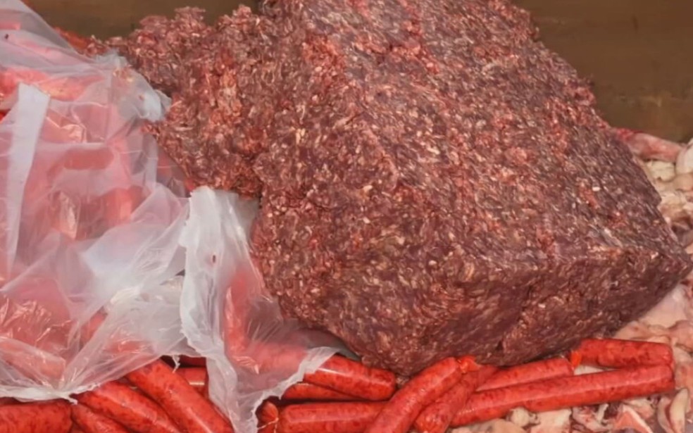 Vigilância Sanitária descobre fábrica clandestina de carne em Araçatuba (SP) — Foto: Reprodução / TV TEM