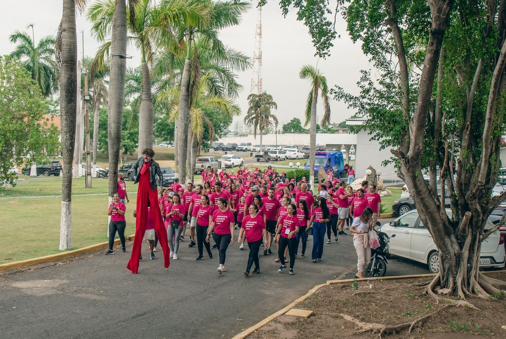 Rede de apoio dedicada a mulheres em tratamento oncológico é focada no suporte emocional. — Foto: Divulgação