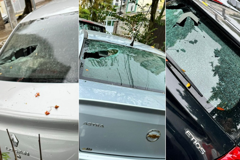 Homem, ainda não identificado, quebrou vidros traseiros de 10 carros estacionados em rua do bairro Embaré, em Santos (SP) — Foto: Arquivo Pessoal