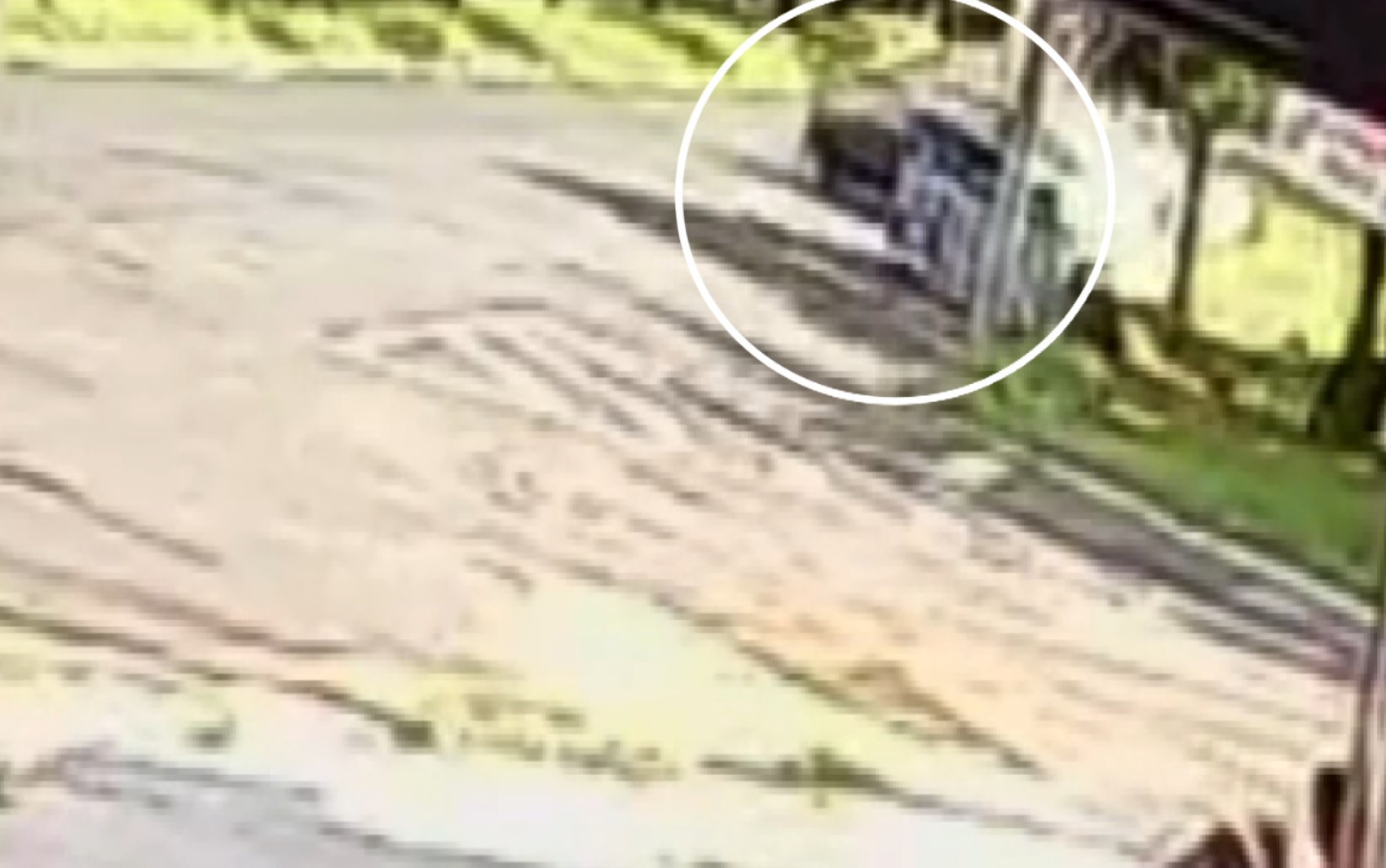 Mulher acusa ex-sogro de atropelá-la durante discussão em Franca: 'Temi pela minha vida'