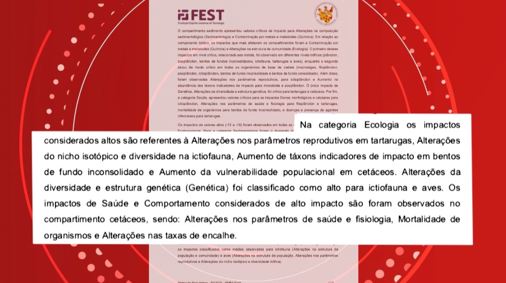 Relatório aponta os impactos em animais de diferentes níveis da cadeia alimentar. — Foto: g1 ES