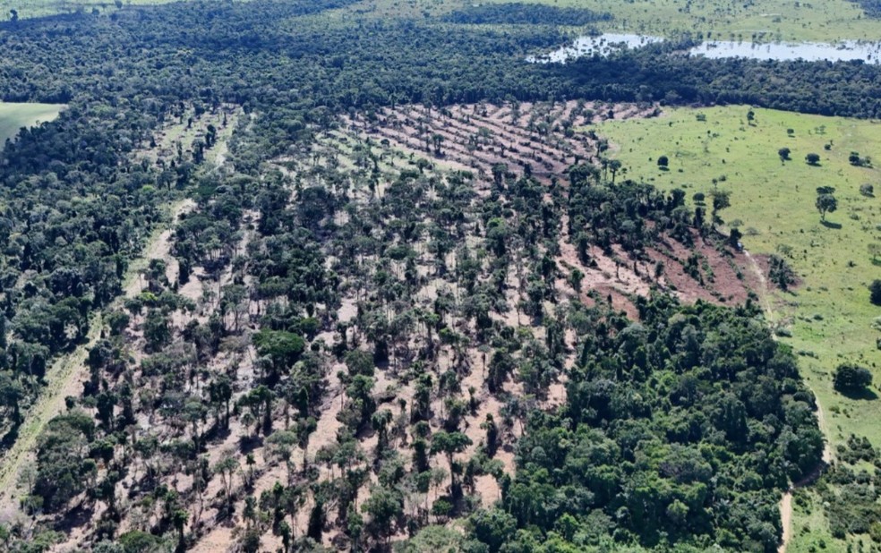 Trator roubado é apreendido durante operação contra desmatamento em Seringueiras — Foto: Reprodução/Batalhão de Polícia Ambiental