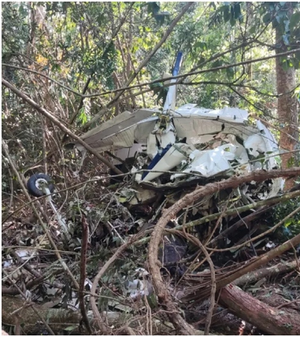 Destroços do avião após acidente — Foto: Reprodução