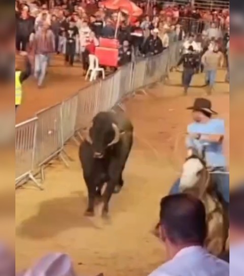 Mães relatam momento de terror após touro avançar sobre público que  esperava show da Ana Castela: 'Vi meu filho gritando de dor', Itapetininga  e Região
