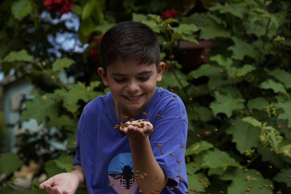 Geraldo Enrico Tigre Herzog, 11 anos, menino autista que encontrou nas abelhas uma forma de se socializar com o mundo — Foto: Ricardo Medeiros/Rede Gazeta