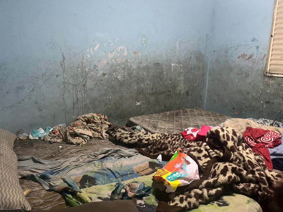 Polícia investiga morte de bebê de 2 meses que vivia em casa insalubre em Campinas — Foto: Johnny Inselsperger/EPTV