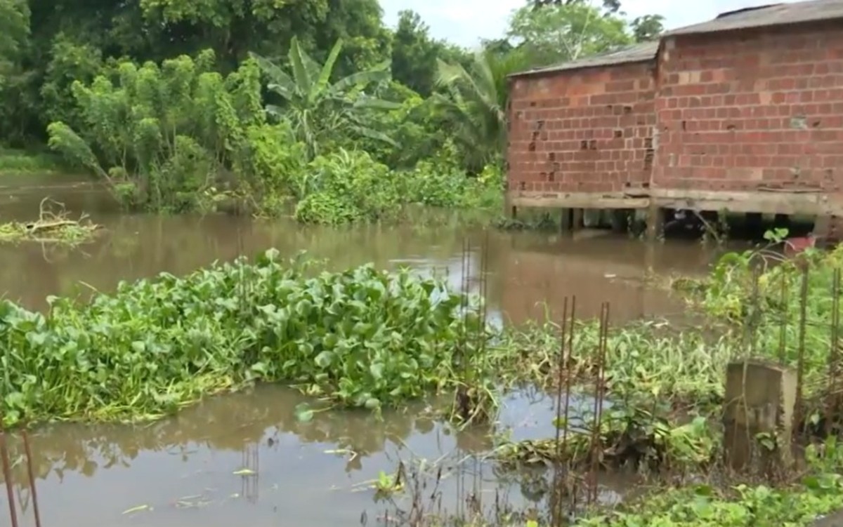 Mais De 50 Municípios Baianos Sofrem Com Transtornos Causados Pelas Chuvas E 655 Mil Pessoas 