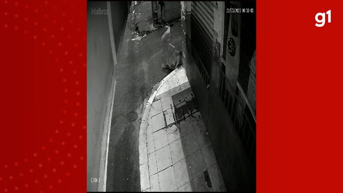 Mulher &eacute; investigada ap&oacute;s esfaquear cachorro em rua da Zona Sul de Manaus |  Amazonas | G1