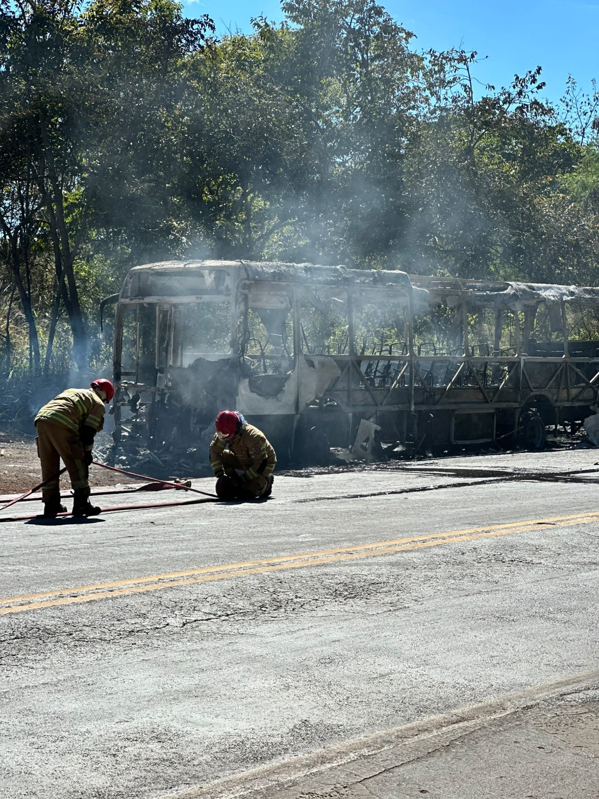 Ônibus pega fogo na BR-365 e chamas se alastram para vegetação às margens da rodovia