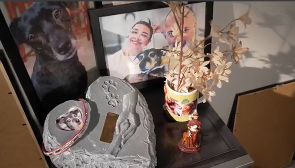 Helena Marçal  guarda com carinho as lembraças de Princesa — Foto: Reprodução/Fantástico