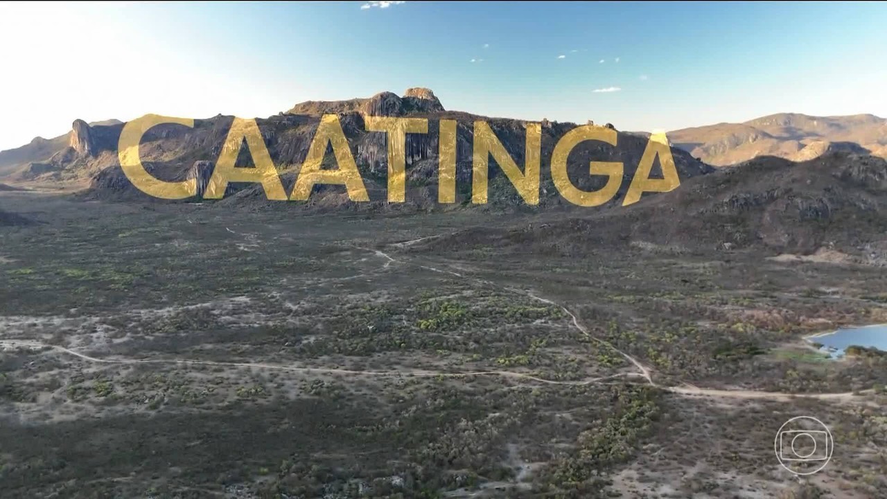 Sertanejos mostram que é possível restaurar a terra devastada e conviver de forma sustentável com o semiárido