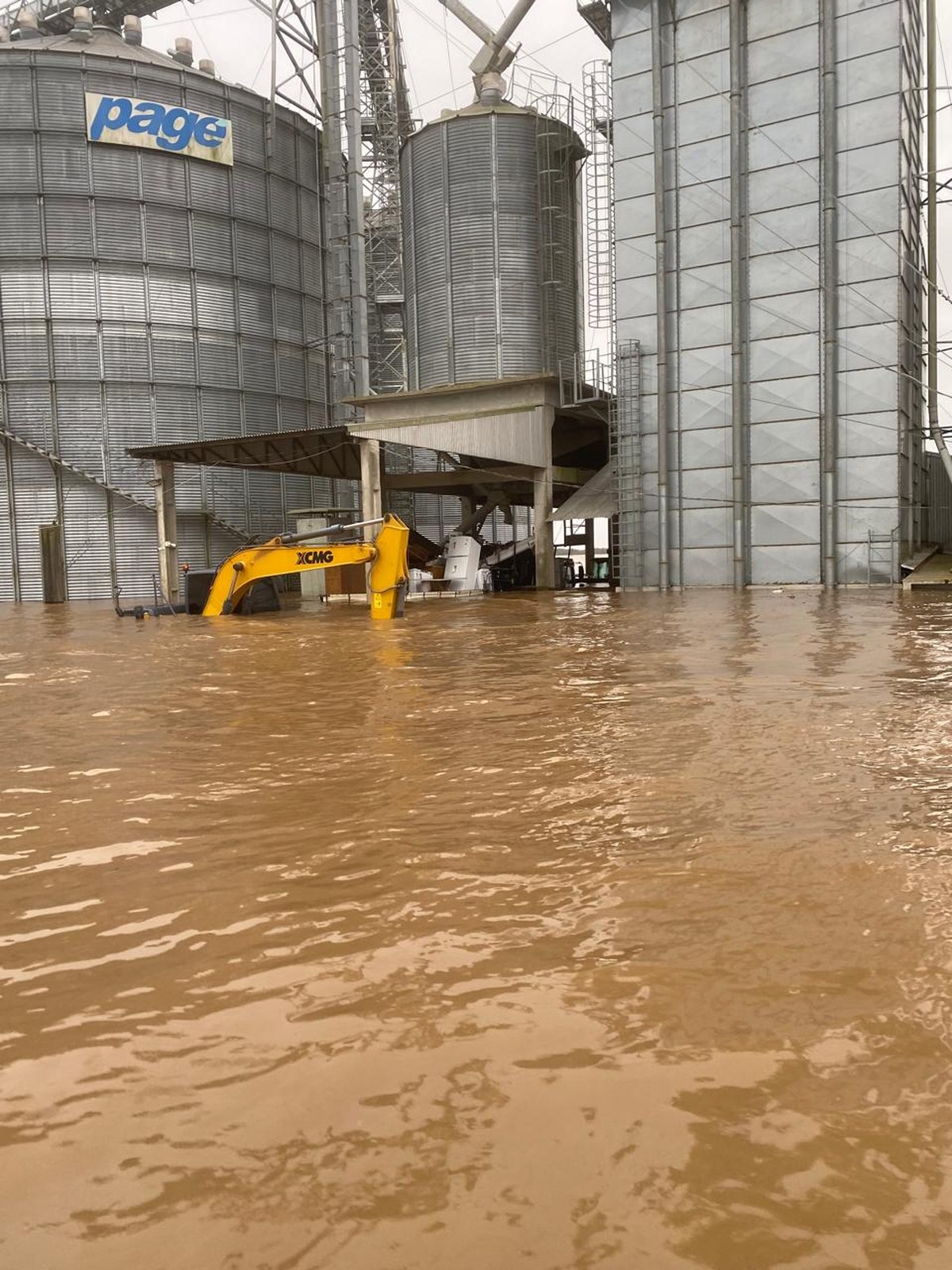 Impacto da destruição das lavouras de soja no Rio Grande do Sul: o preço do óleo e das carnes podem aumentar