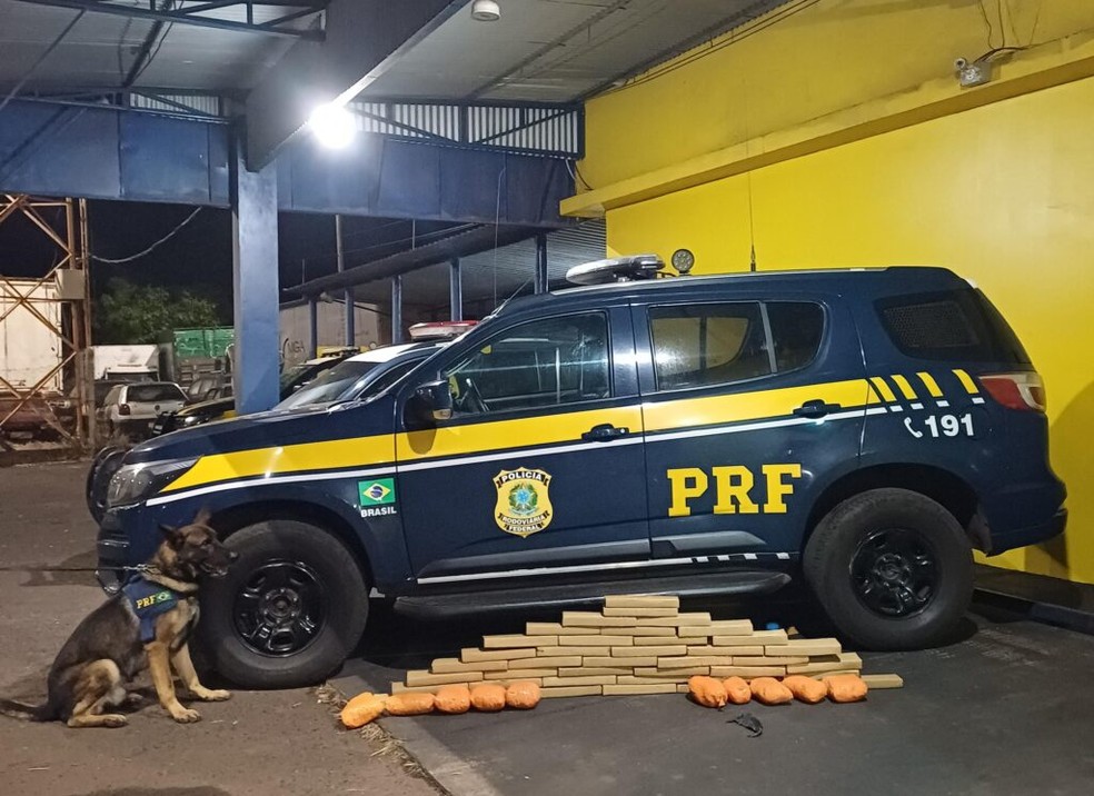 Drogas foram encontradas com ajuda de cães farejadores da PRF em Ourinhos — Foto: Polícia Rodoviária Federal/ Divulgação