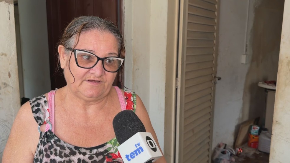 'Achei que era cachorro', diz moradora que encontrou onça-parda dentro em quintal de casa em Birigui — Foto: Reprodução/TV TEM