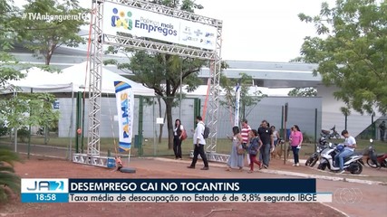 Cai o desemprego no TO: taxa média de desocupação no Estado é de 3,8%, diz IBGE