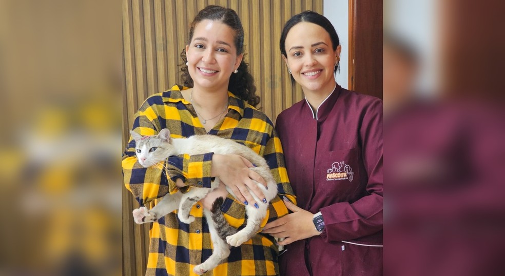 Nelsiane carregando a gata que foi agredida em consulta na clínica veterinário de Letícia Machado, em Piraju (SP) — Foto: Divulgação/Mascote Veterinária