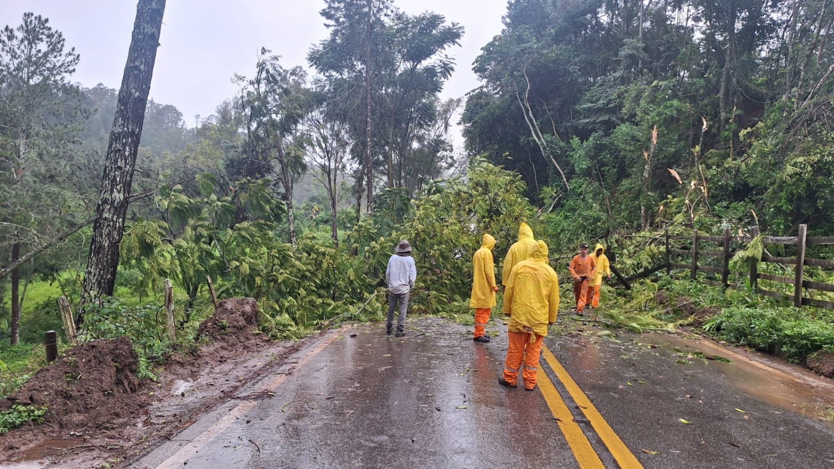 Trechos de três rodovias que ligam MG a SP e RJ estão interditados desde dezembro; veja desvios